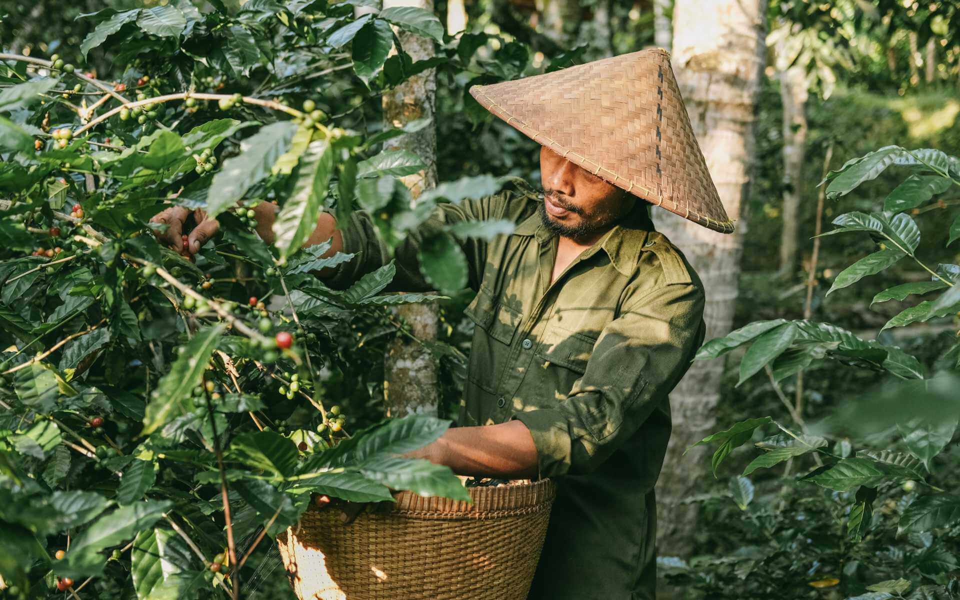 Bali Ubud Waterfall Wonders Tour